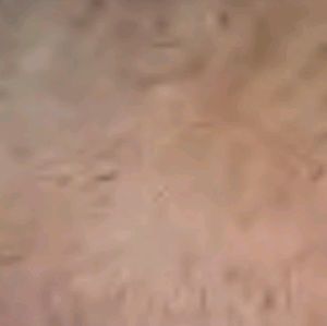 Meet your Posher, Kira